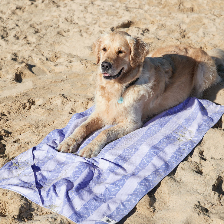 dock and bay dog towels