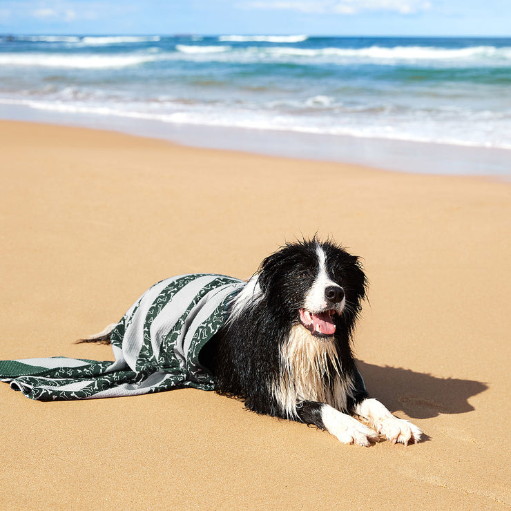 dock and bay dog towels